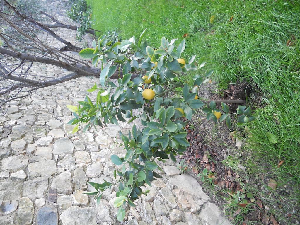 Casa Maya Бренцоне сул Гарда Екстериор снимка
